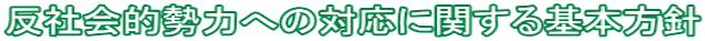 ���Љ�I���͂ւ̑Ή��Ɋւ����{���j