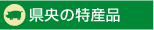 �Ȃ����������̓��Y�i