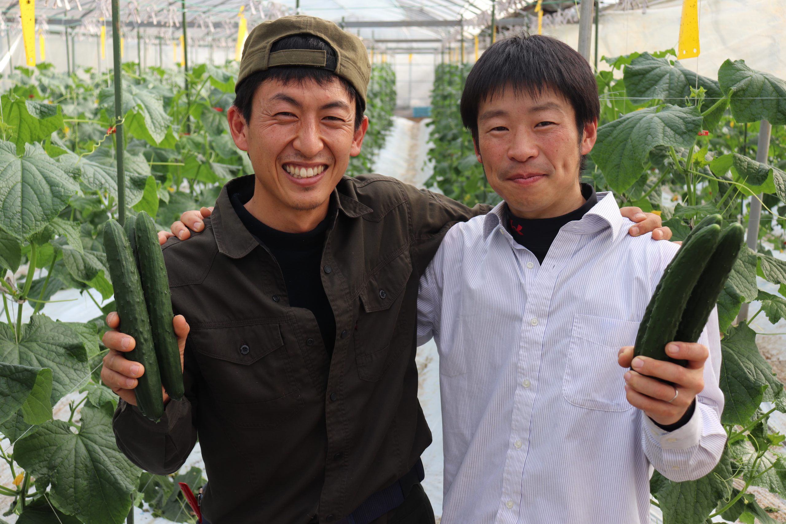 若手農業者2人 新しい農業の形を求めて 古ハウスをリノベーション