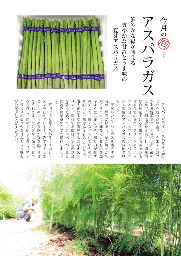 みのりん2024年9月号
